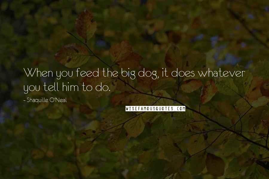 Shaquille O'Neal Quotes: When you feed the big dog, it does whatever you tell him to do.