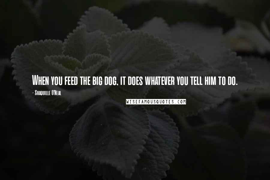 Shaquille O'Neal Quotes: When you feed the big dog, it does whatever you tell him to do.