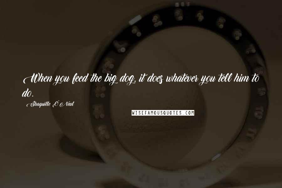 Shaquille O'Neal Quotes: When you feed the big dog, it does whatever you tell him to do.