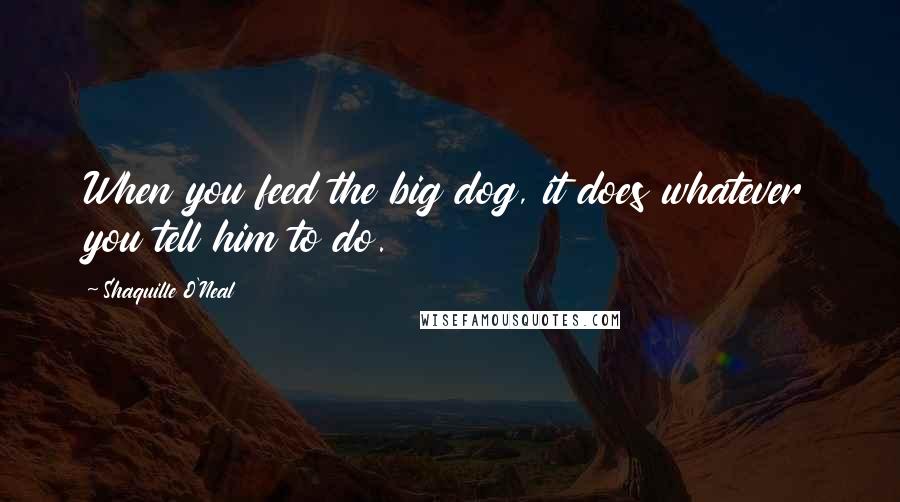 Shaquille O'Neal Quotes: When you feed the big dog, it does whatever you tell him to do.