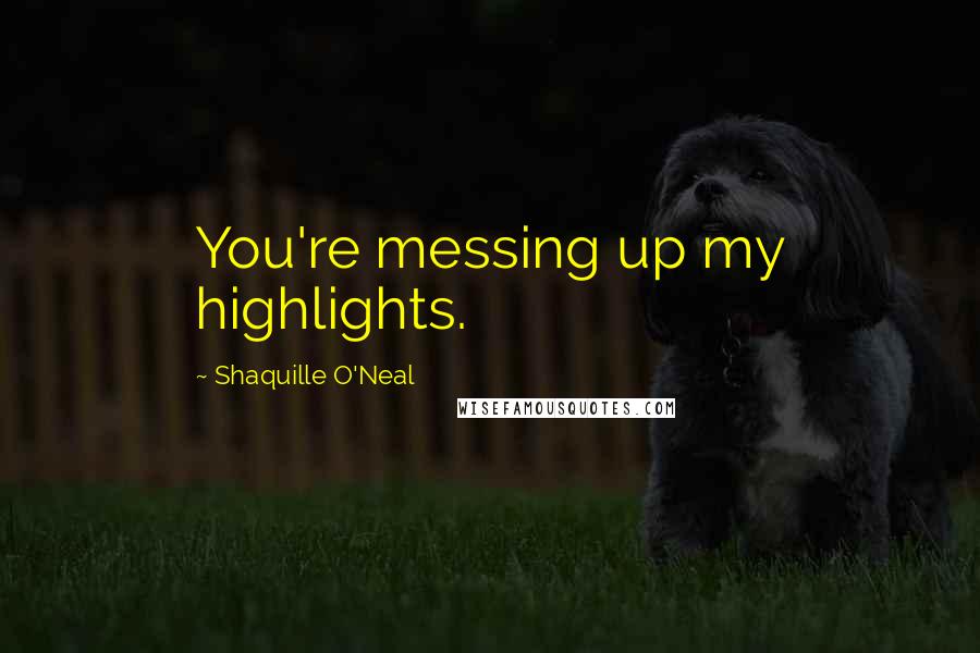 Shaquille O'Neal Quotes: You're messing up my highlights.