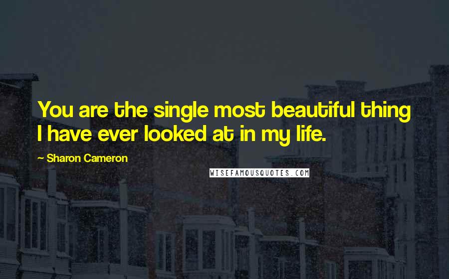Sharon Cameron Quotes: You are the single most beautiful thing I have ever looked at in my life.