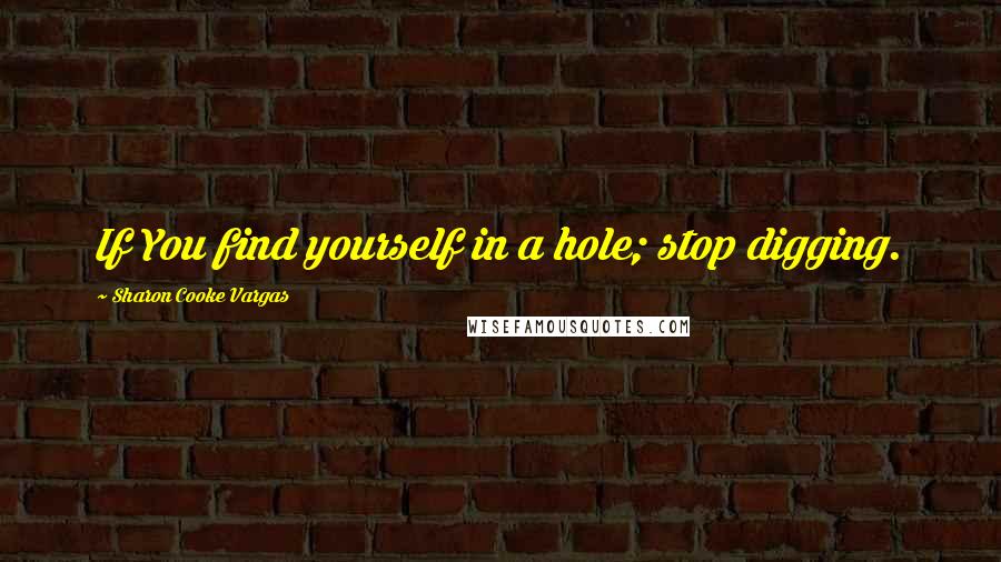 Sharon Cooke Vargas Quotes: If You find yourself in a hole; stop digging.