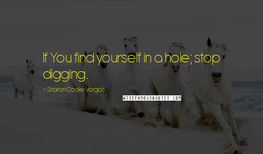 Sharon Cooke Vargas Quotes: If You find yourself in a hole; stop digging.