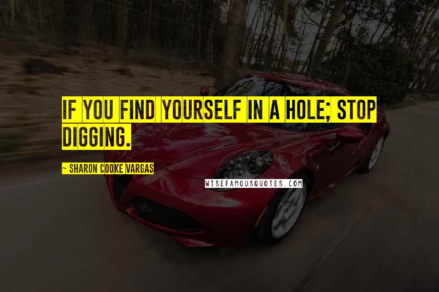 Sharon Cooke Vargas Quotes: If You find yourself in a hole; stop digging.
