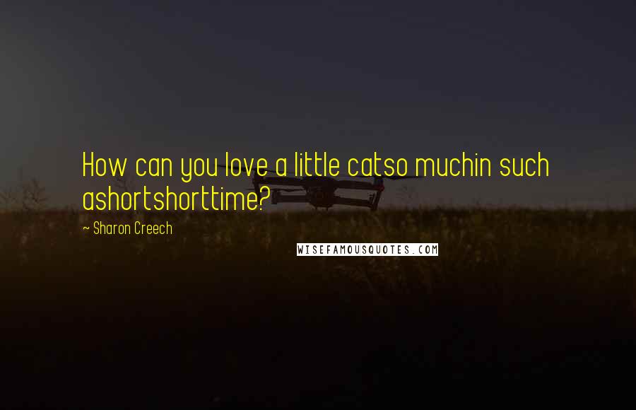 Sharon Creech Quotes: How can you love a little catso muchin such ashortshorttime?