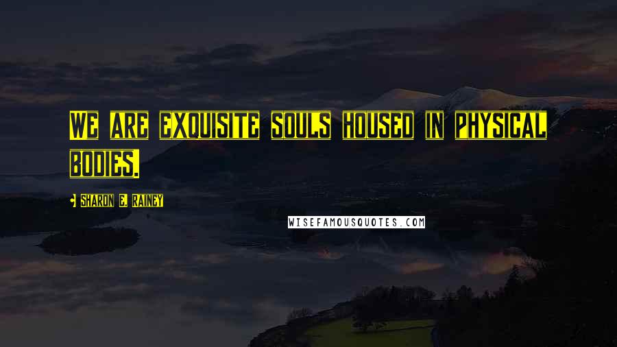 Sharon E. Rainey Quotes: We are exquisite souls housed in physical bodies.