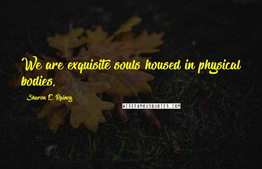 Sharon E. Rainey Quotes: We are exquisite souls housed in physical bodies.