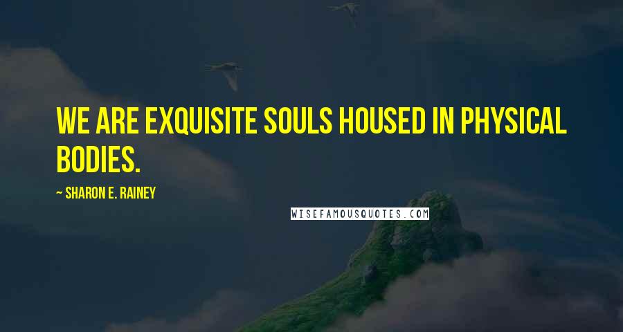 Sharon E. Rainey Quotes: We are exquisite souls housed in physical bodies.