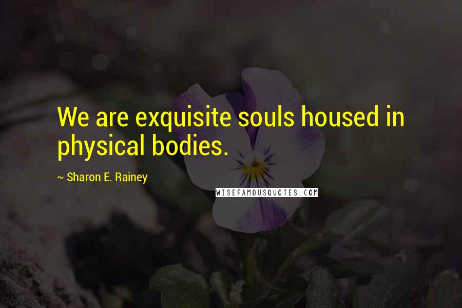 Sharon E. Rainey Quotes: We are exquisite souls housed in physical bodies.