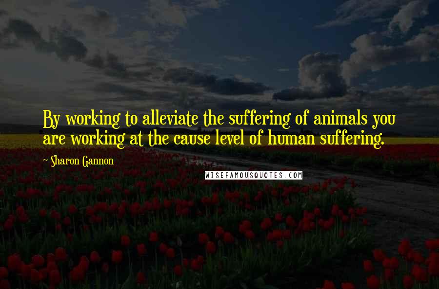 Sharon Gannon Quotes: By working to alleviate the suffering of animals you are working at the cause level of human suffering.