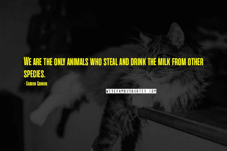 Sharon Gannon Quotes: We are the only animals who steal and drink the milk from other species.