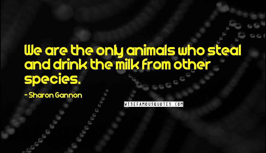 Sharon Gannon Quotes: We are the only animals who steal and drink the milk from other species.