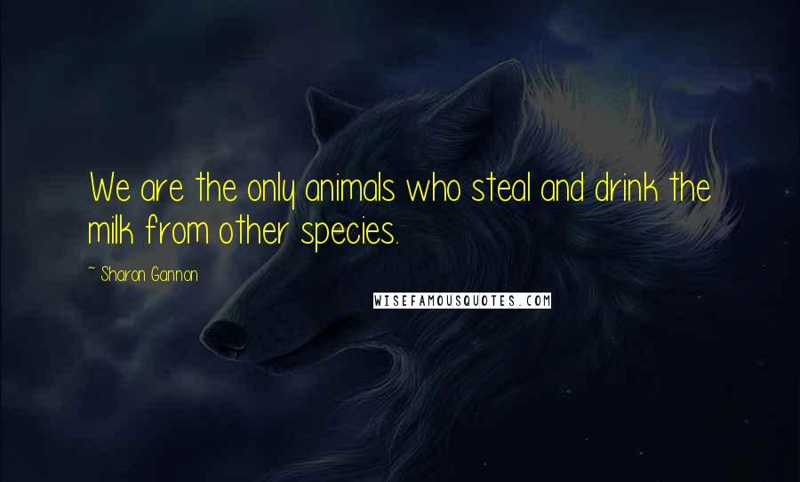Sharon Gannon Quotes: We are the only animals who steal and drink the milk from other species.