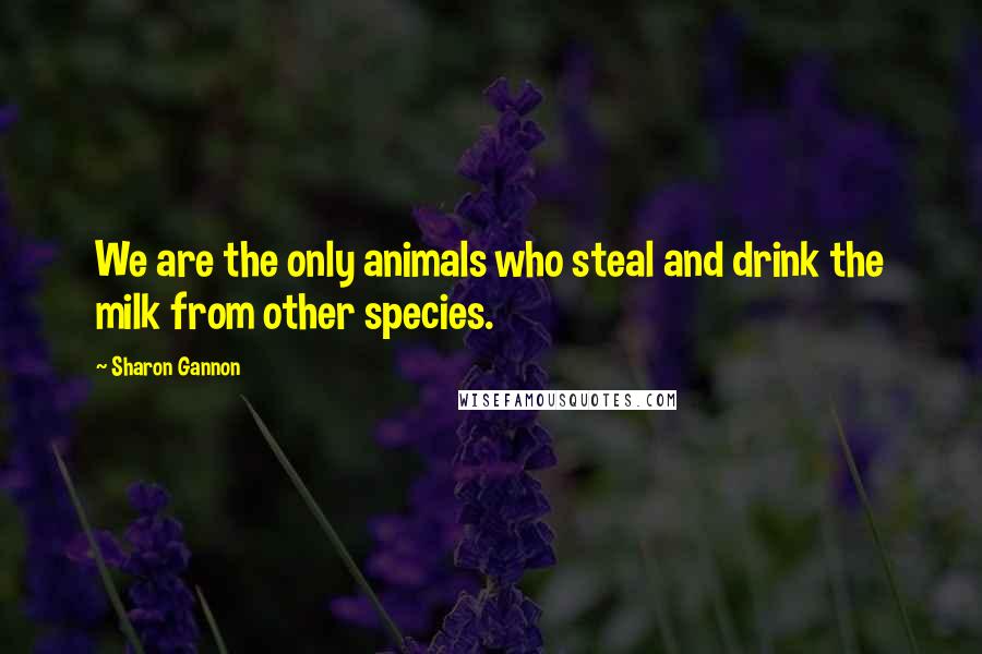 Sharon Gannon Quotes: We are the only animals who steal and drink the milk from other species.