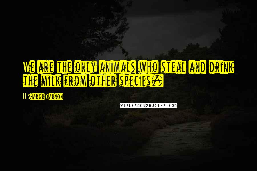 Sharon Gannon Quotes: We are the only animals who steal and drink the milk from other species.