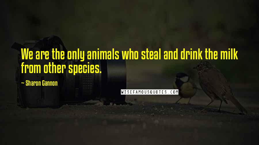 Sharon Gannon Quotes: We are the only animals who steal and drink the milk from other species.