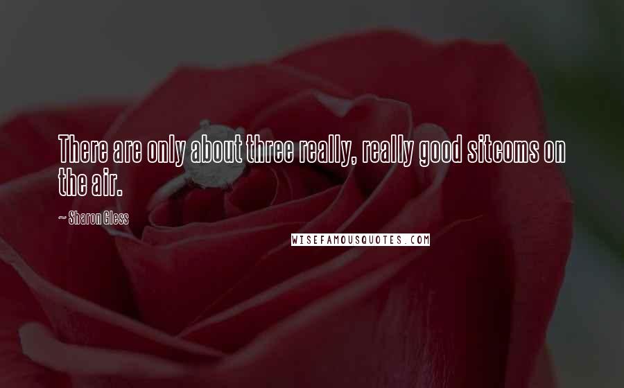 Sharon Gless Quotes: There are only about three really, really good sitcoms on the air.