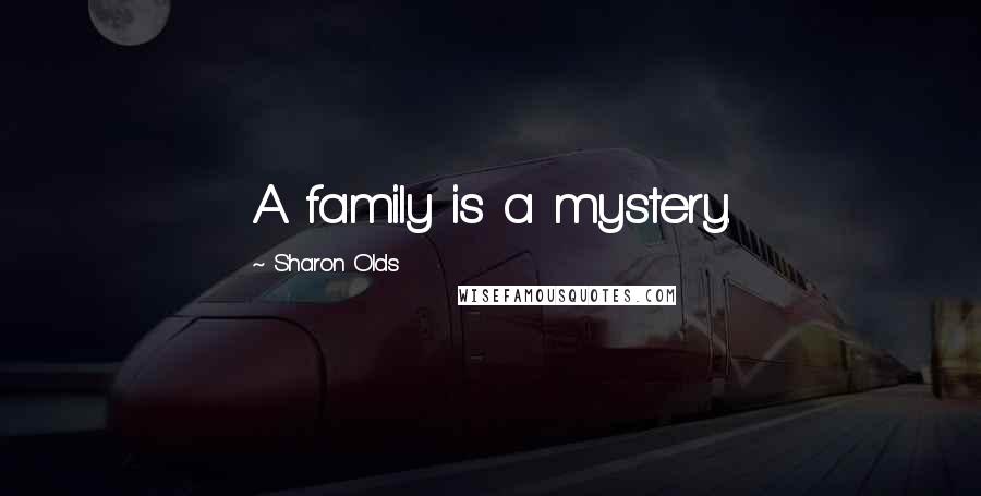 Sharon Olds Quotes: A family is a mystery.