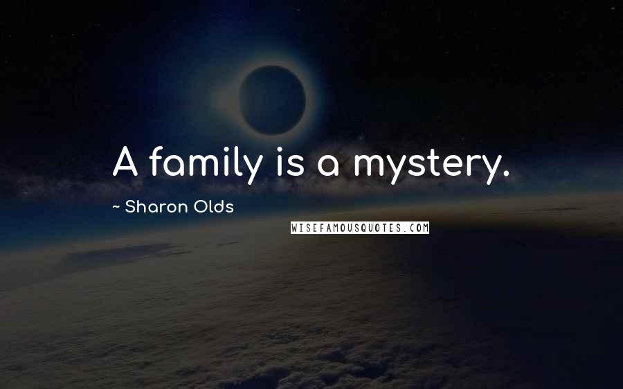 Sharon Olds Quotes: A family is a mystery.