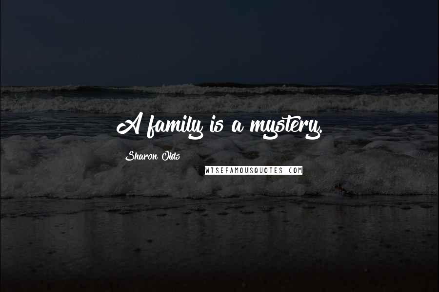 Sharon Olds Quotes: A family is a mystery.