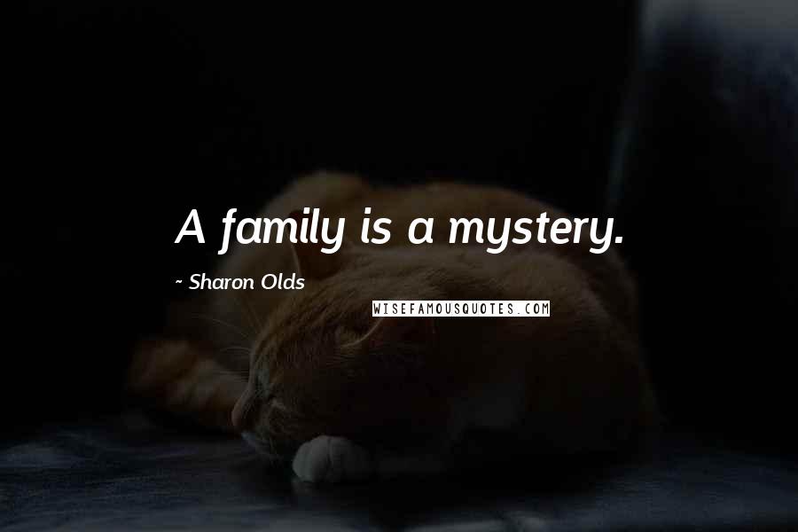 Sharon Olds Quotes: A family is a mystery.