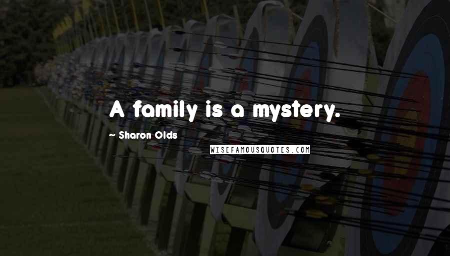 Sharon Olds Quotes: A family is a mystery.