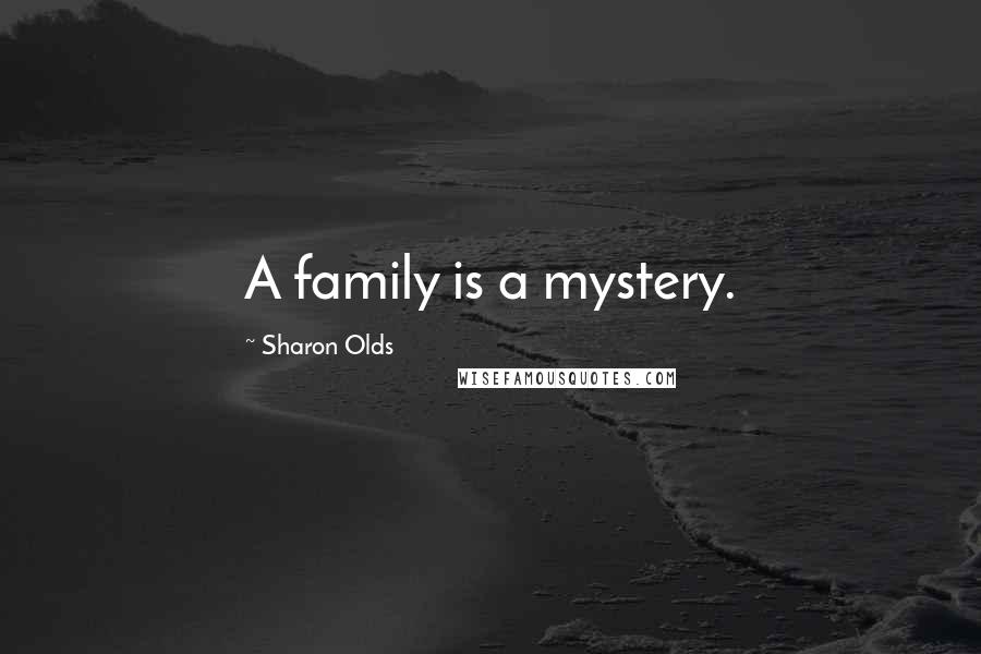 Sharon Olds Quotes: A family is a mystery.