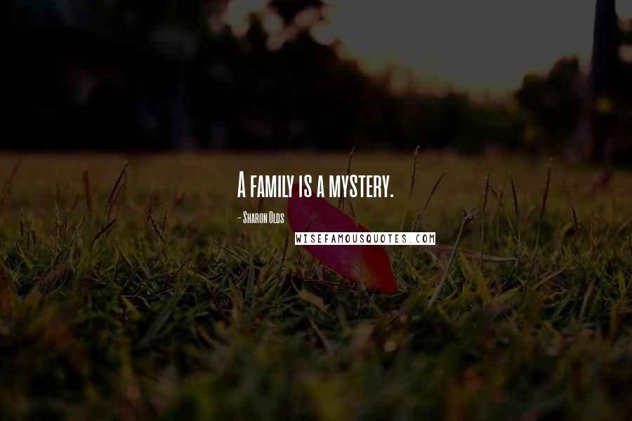 Sharon Olds Quotes: A family is a mystery.