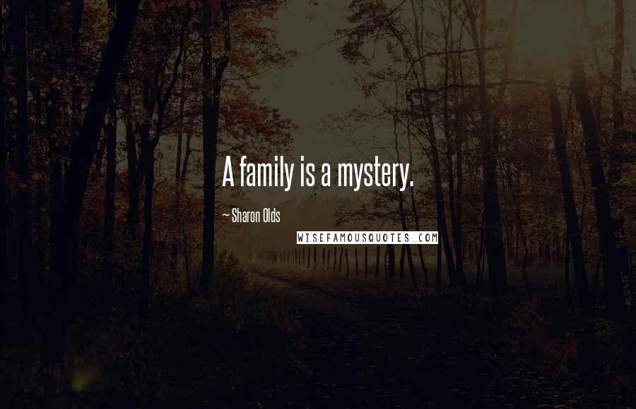 Sharon Olds Quotes: A family is a mystery.