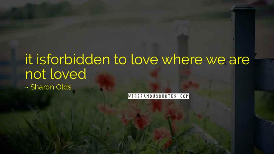 Sharon Olds Quotes: it isforbidden to love where we are not loved