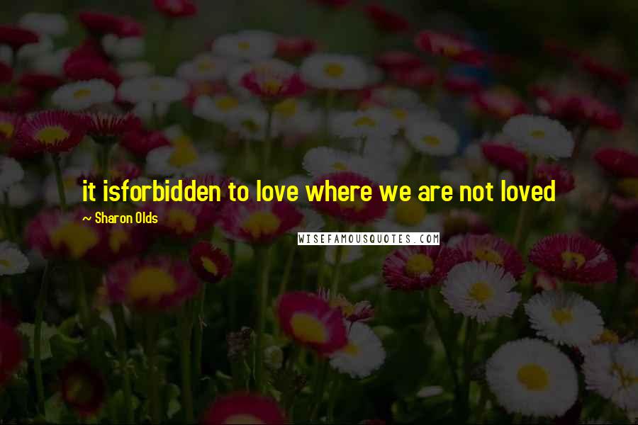 Sharon Olds Quotes: it isforbidden to love where we are not loved
