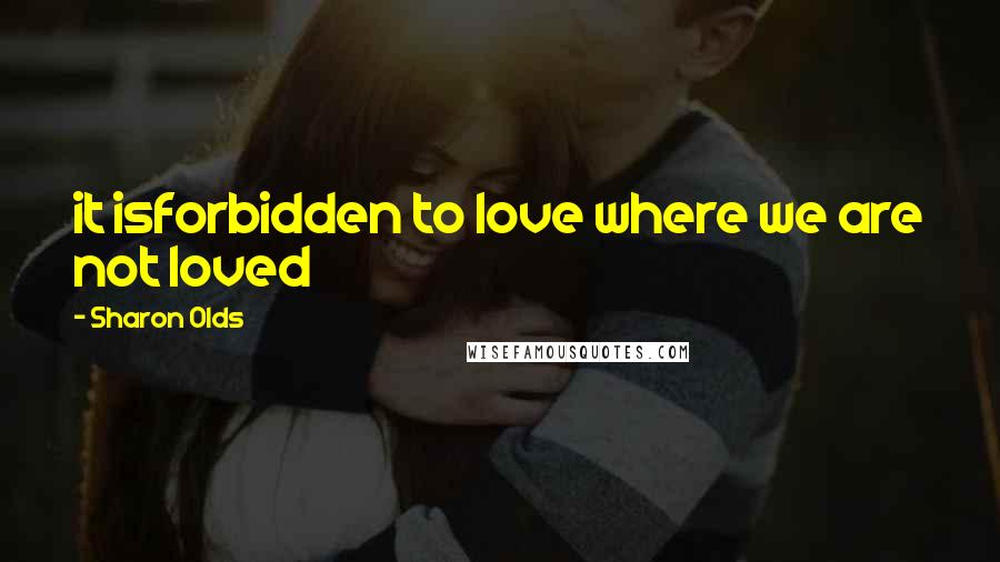Sharon Olds Quotes: it isforbidden to love where we are not loved