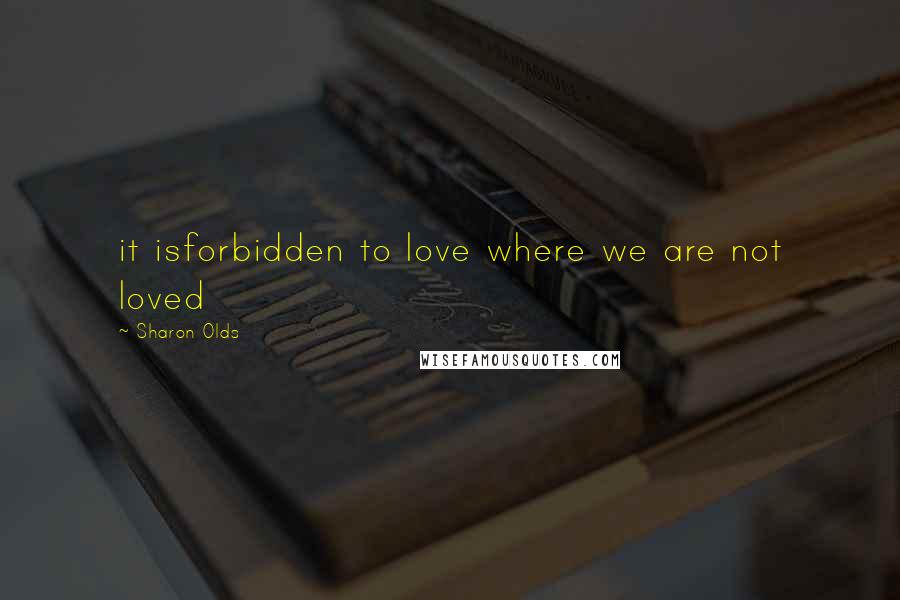 Sharon Olds Quotes: it isforbidden to love where we are not loved