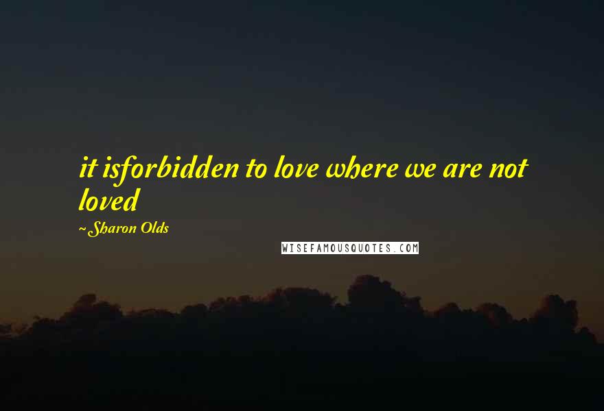 Sharon Olds Quotes: it isforbidden to love where we are not loved