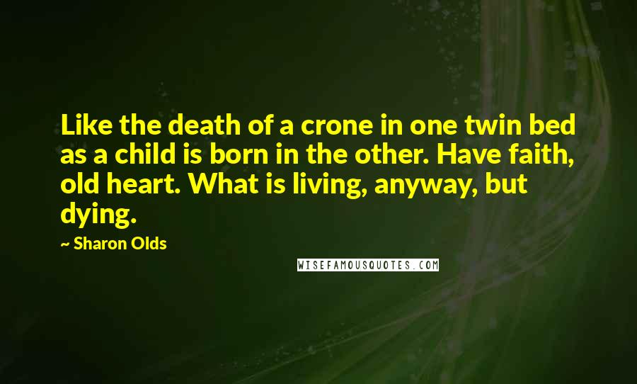 Sharon Olds Quotes: Like the death of a crone in one twin bed as a child is born in the other. Have faith, old heart. What is living, anyway, but dying.