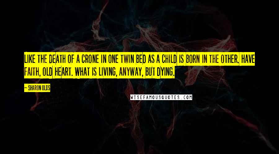 Sharon Olds Quotes: Like the death of a crone in one twin bed as a child is born in the other. Have faith, old heart. What is living, anyway, but dying.