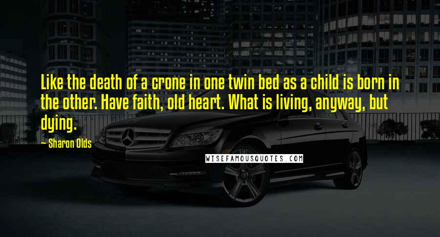 Sharon Olds Quotes: Like the death of a crone in one twin bed as a child is born in the other. Have faith, old heart. What is living, anyway, but dying.