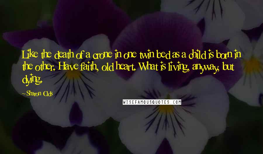 Sharon Olds Quotes: Like the death of a crone in one twin bed as a child is born in the other. Have faith, old heart. What is living, anyway, but dying.