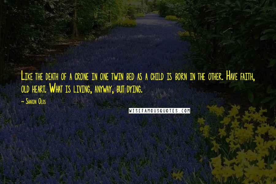 Sharon Olds Quotes: Like the death of a crone in one twin bed as a child is born in the other. Have faith, old heart. What is living, anyway, but dying.
