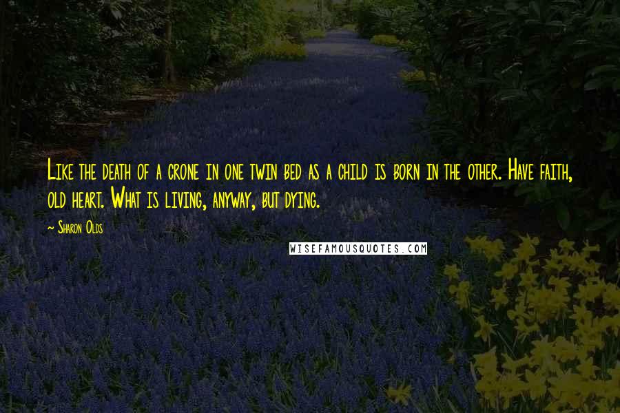 Sharon Olds Quotes: Like the death of a crone in one twin bed as a child is born in the other. Have faith, old heart. What is living, anyway, but dying.