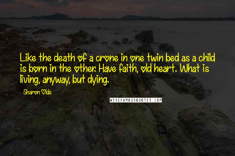 Sharon Olds Quotes: Like the death of a crone in one twin bed as a child is born in the other. Have faith, old heart. What is living, anyway, but dying.