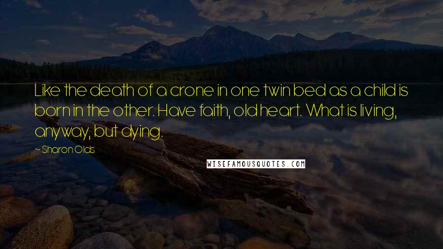 Sharon Olds Quotes: Like the death of a crone in one twin bed as a child is born in the other. Have faith, old heart. What is living, anyway, but dying.