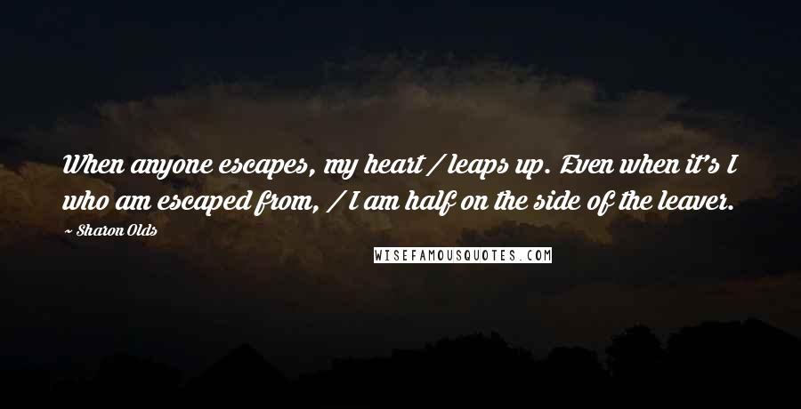 Sharon Olds Quotes: When anyone escapes, my heart / leaps up. Even when it's I who am escaped from, / I am half on the side of the leaver.