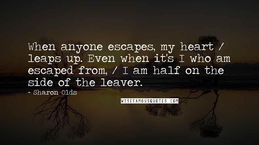 Sharon Olds Quotes: When anyone escapes, my heart / leaps up. Even when it's I who am escaped from, / I am half on the side of the leaver.