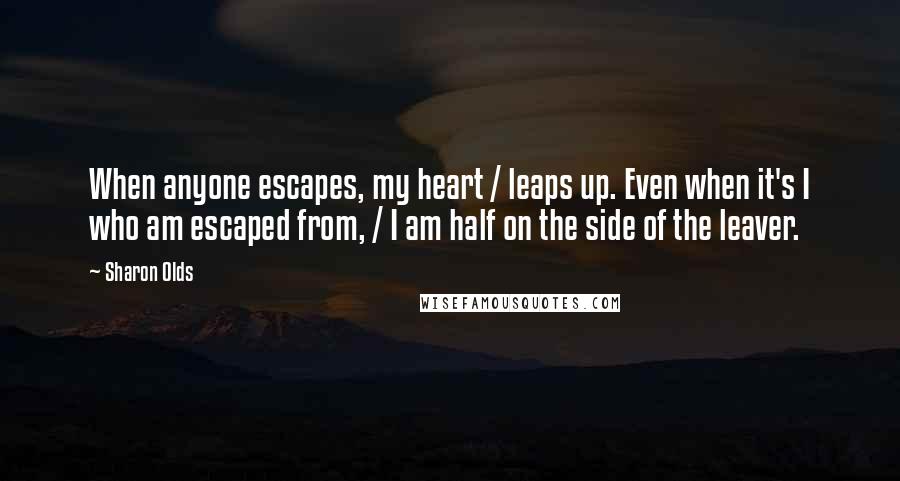 Sharon Olds Quotes: When anyone escapes, my heart / leaps up. Even when it's I who am escaped from, / I am half on the side of the leaver.
