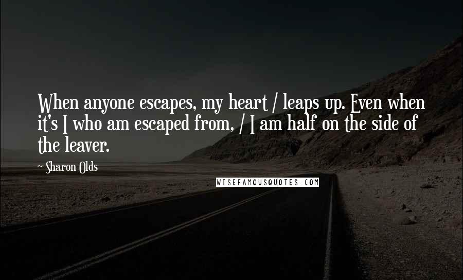 Sharon Olds Quotes: When anyone escapes, my heart / leaps up. Even when it's I who am escaped from, / I am half on the side of the leaver.