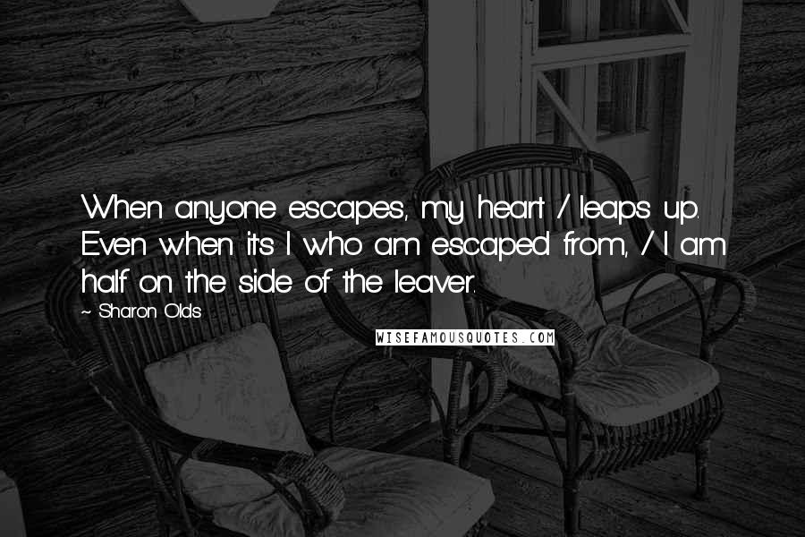 Sharon Olds Quotes: When anyone escapes, my heart / leaps up. Even when it's I who am escaped from, / I am half on the side of the leaver.