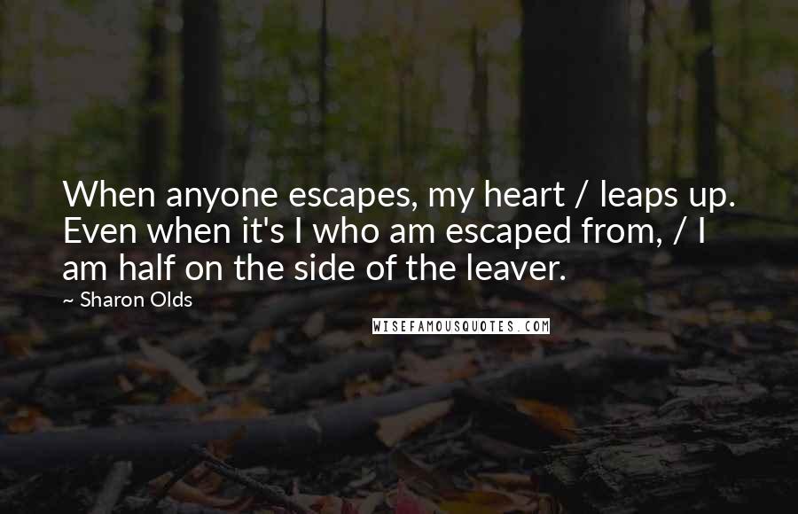 Sharon Olds Quotes: When anyone escapes, my heart / leaps up. Even when it's I who am escaped from, / I am half on the side of the leaver.