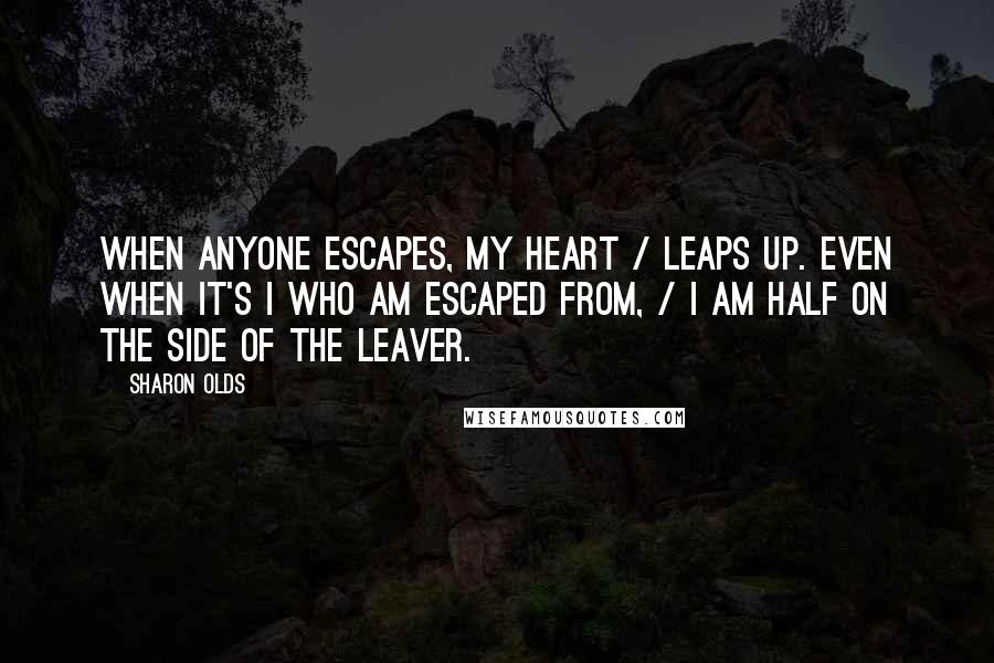 Sharon Olds Quotes: When anyone escapes, my heart / leaps up. Even when it's I who am escaped from, / I am half on the side of the leaver.